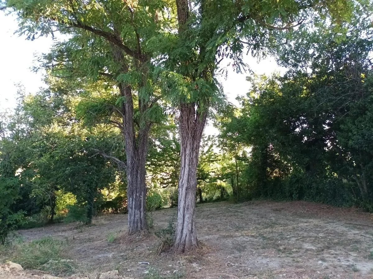 Oasi Santaquilina Apartment 33962 - 78613 Rimini
